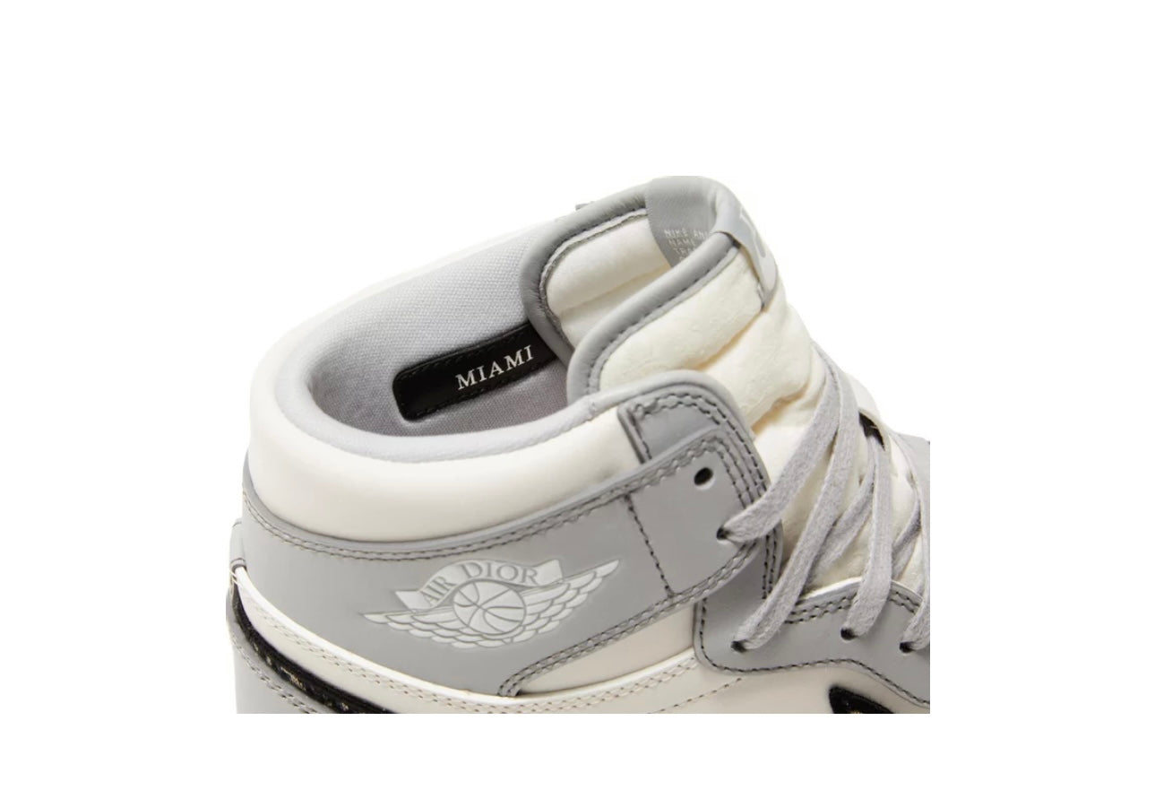Dior x Air Jordan 1 high