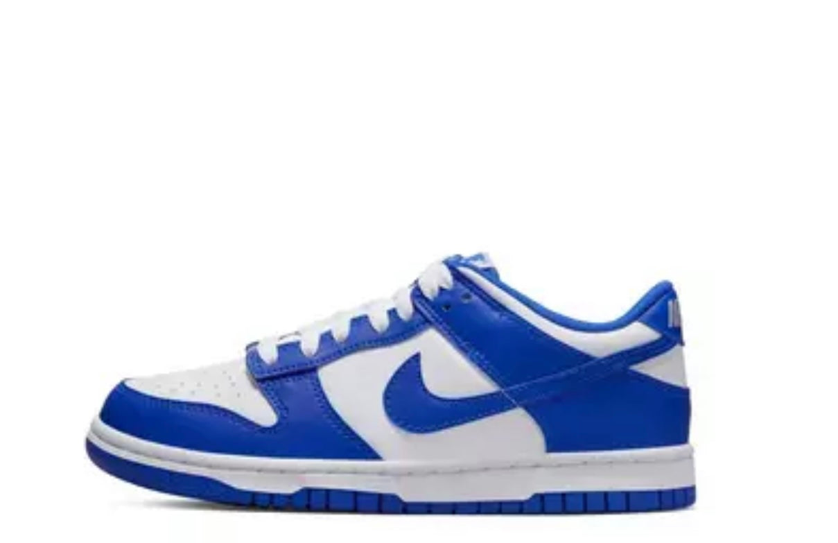 Nike Dunk Low Retro