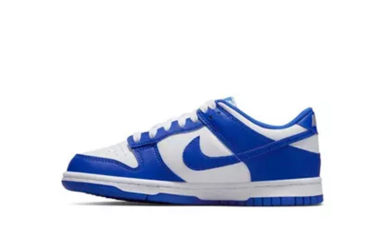 Nike Dunk Low Retro
