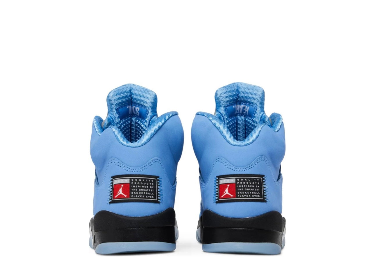 The Air Jordan 5 SE 'UNC'