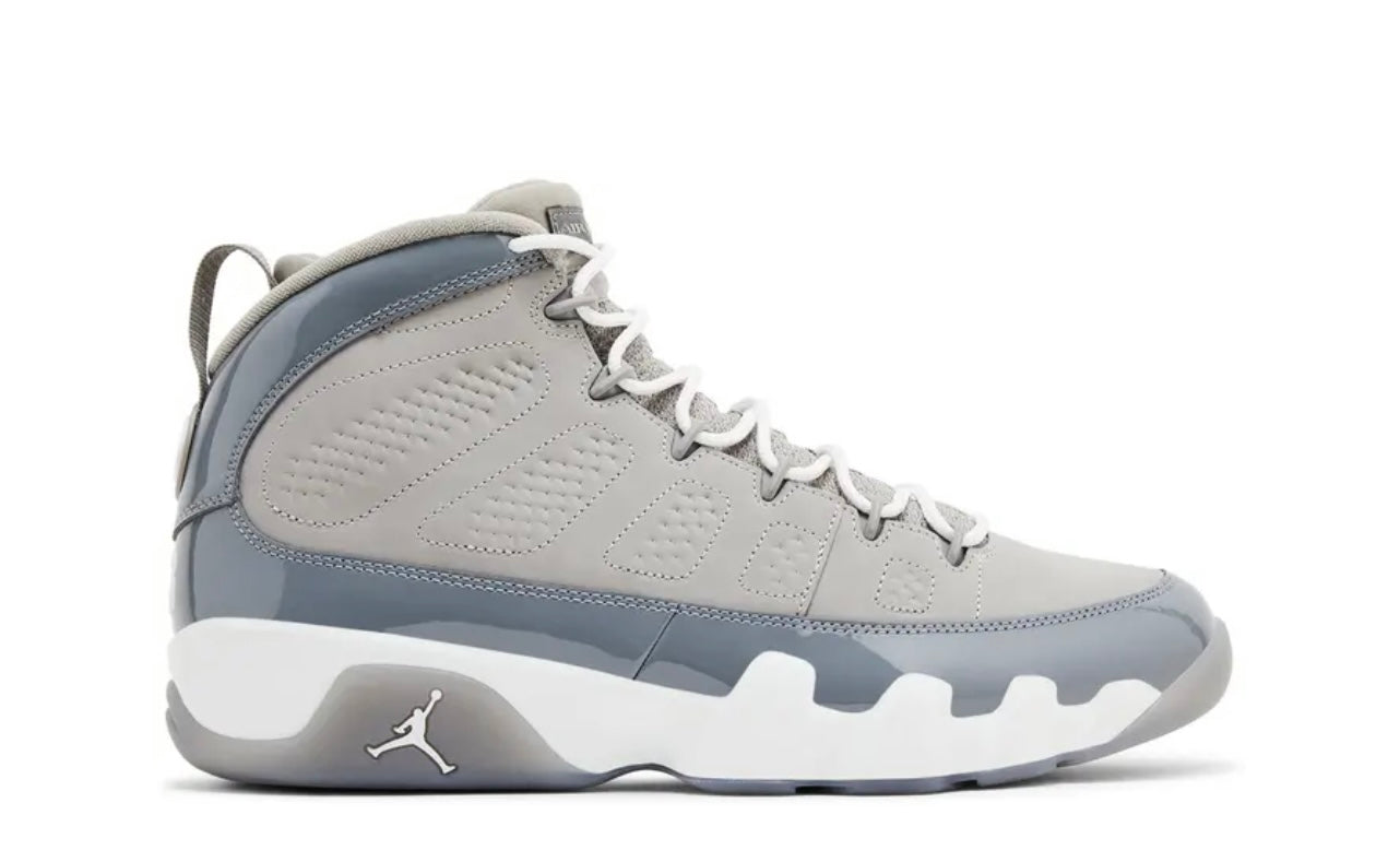 The Air Jordan 9 Retro Cool Grey