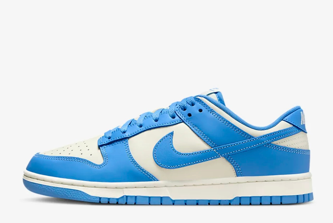 Nike Dunk Low Retro