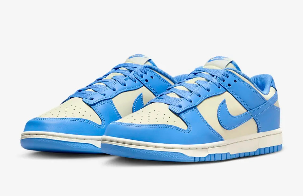 Nike Dunk Low Retro
